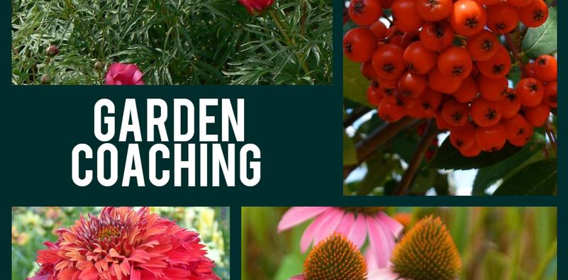 Garden Consultation Info Garden Consultation Info