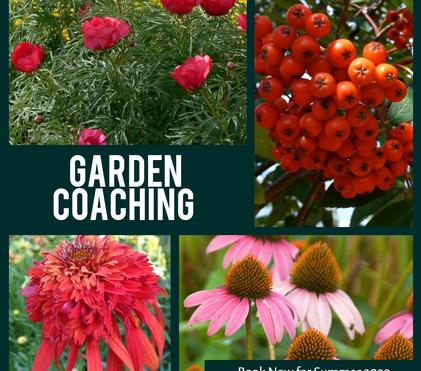 Garden Consultation Info