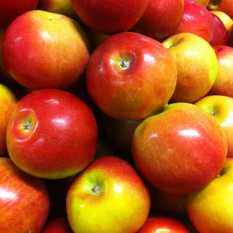 Apple McIntosh