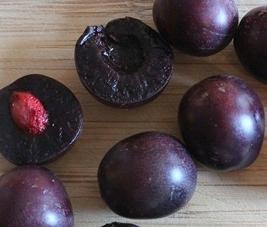 Cherry-Plum Sapalta