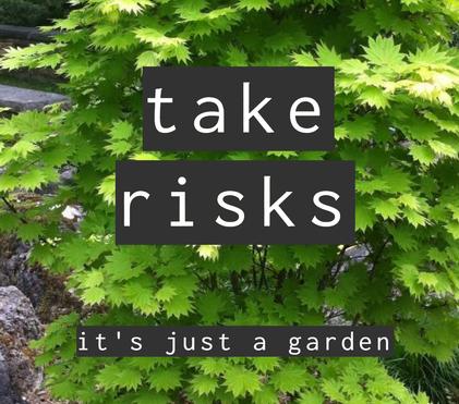 The art of taking risks in the garden
